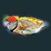 Gegrillte Dorade (Cupra)